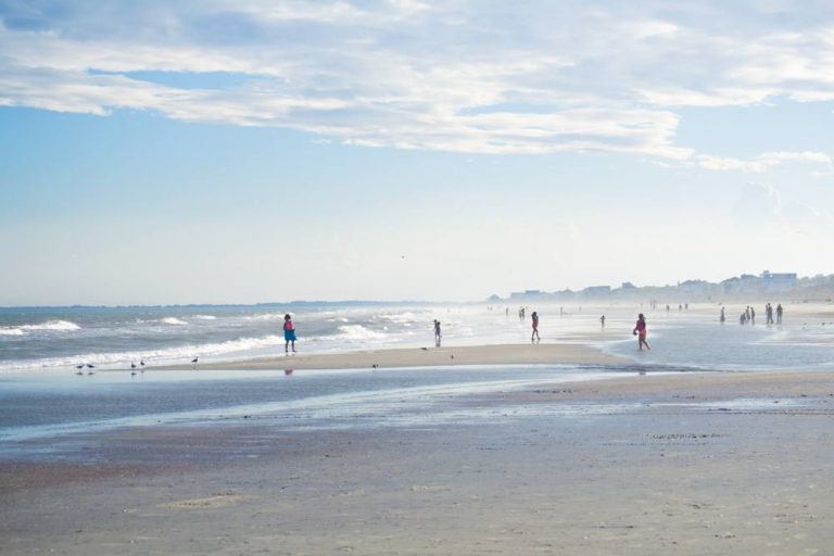 pawleysislandbeachphoto South Carolina Beaches
