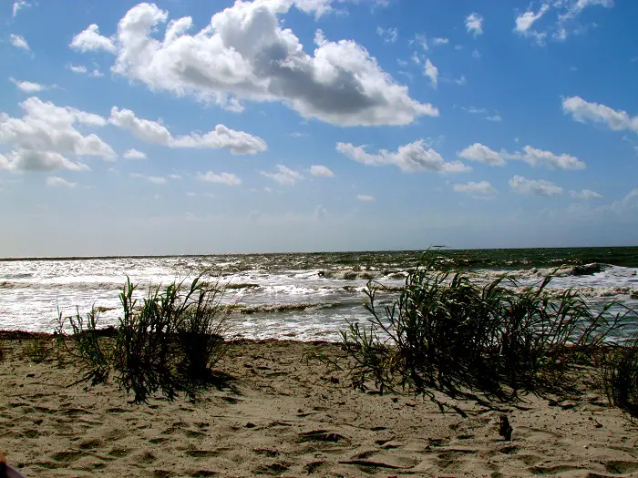 The Top 15 Things to Do in Hilton Head
